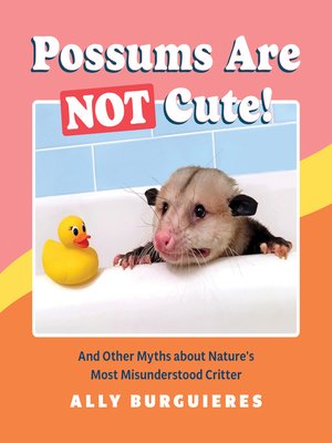 cover image of Possums Are Not Cute!